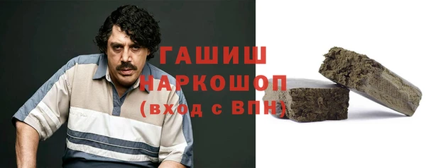 индика Дмитров