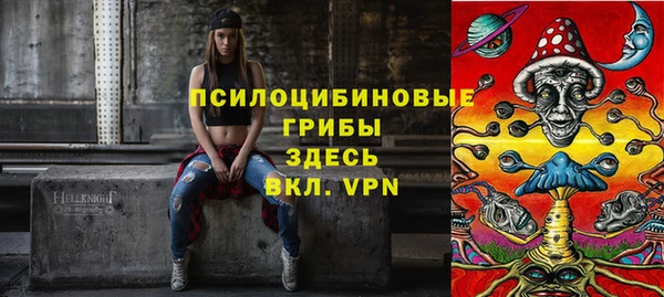 спиды Ельня