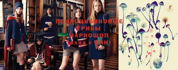 ГАЛЛЮЦИНОГЕННЫЕ ГРИБЫ Инта